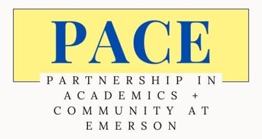 Emerson PACE
